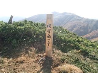 根菅岳山頂