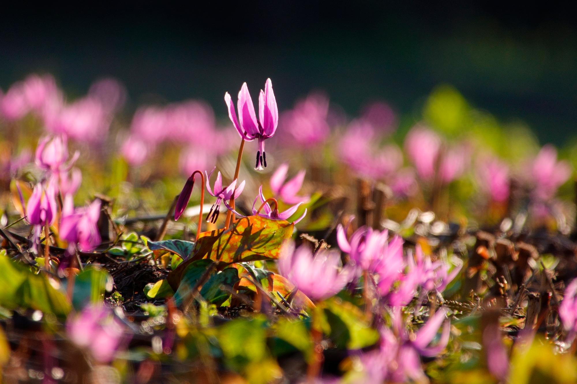 R7グランプリ作品