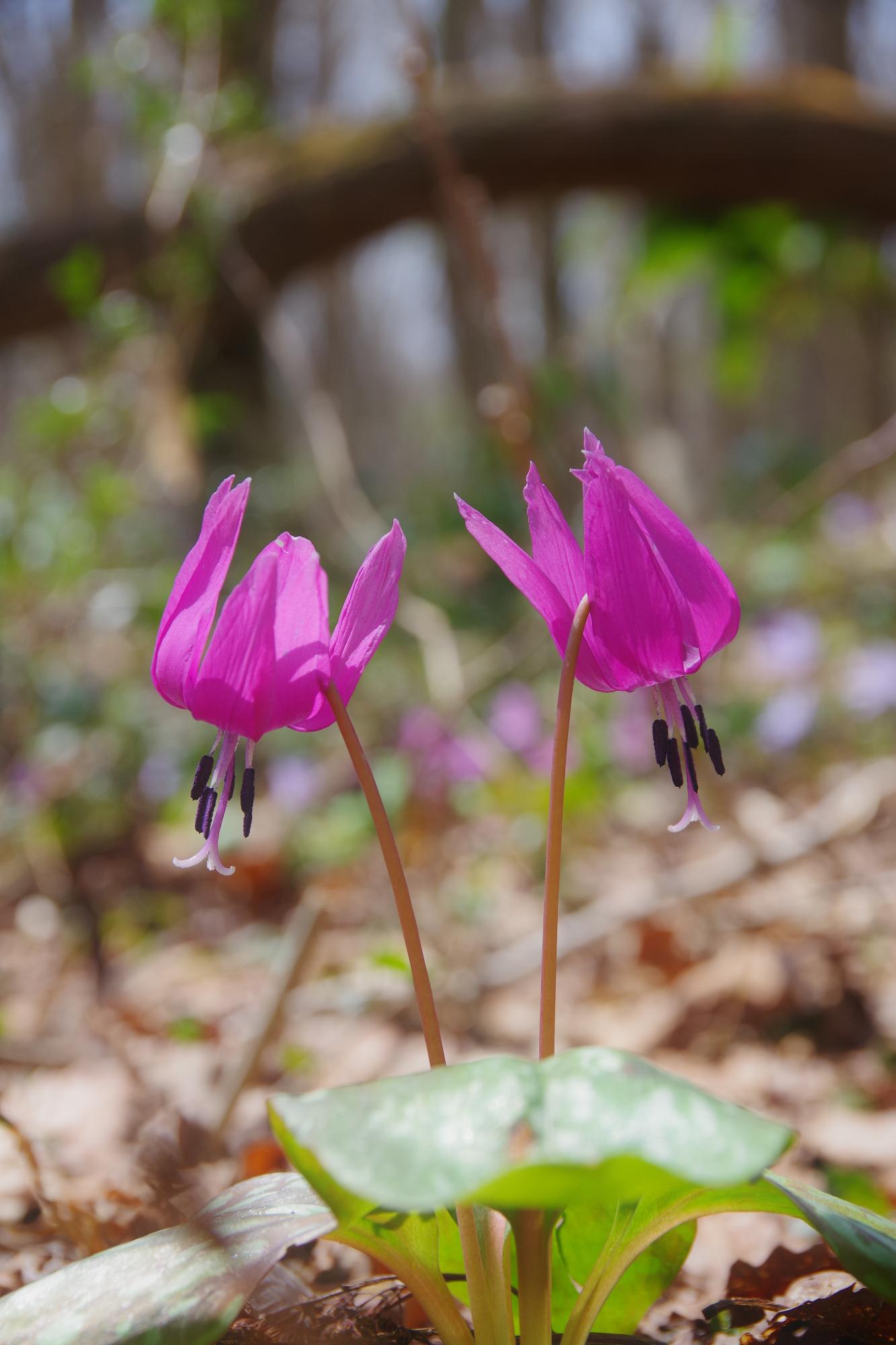 R7準グランプリ作品