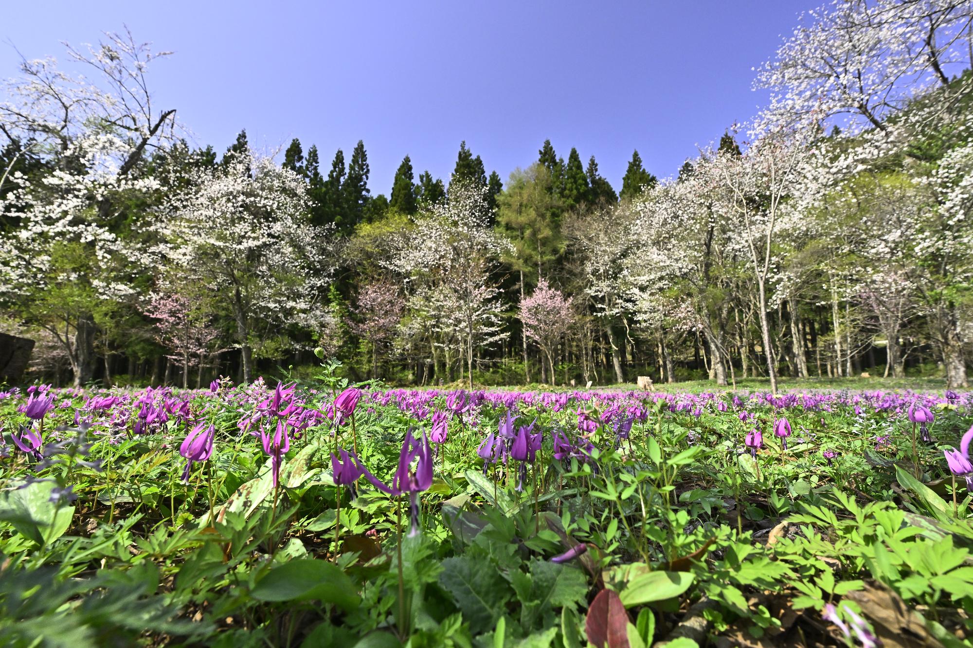 R7審査員特別賞