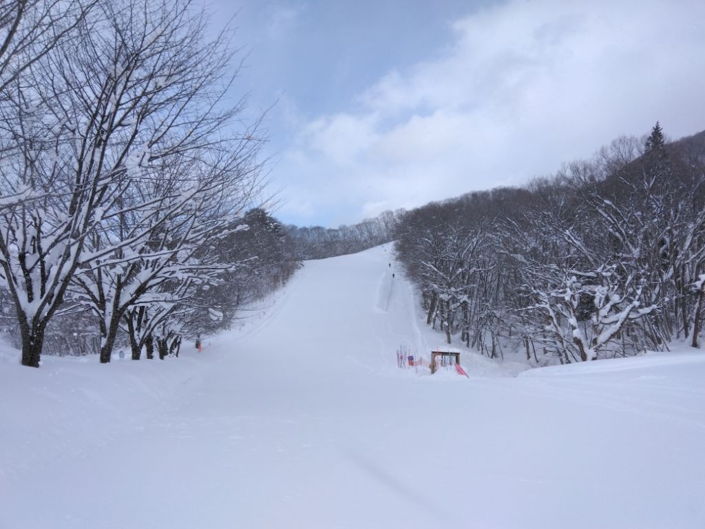 志賀来スキー場1(1月23日時点)