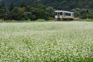 始発電車そば街道を走る